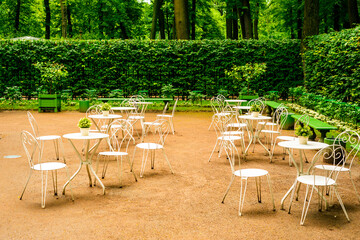 Summer cafe behind a hedge among the trees in the city garden
