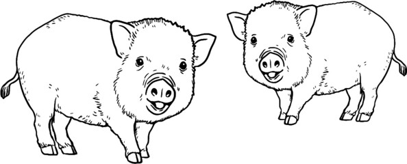 Two cute piglets on the farm. Coloring page with the animals. Vector illustration.