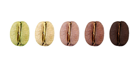 Set collage of coffee beans showing various stages of roasting isolated on white background