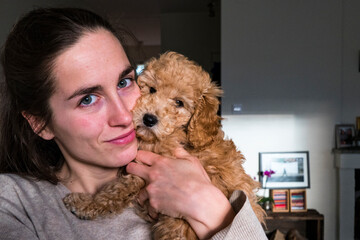 Stockholm, Sweden A Bichon Poo dog at home with its owner.