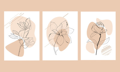 Set of abstract illustrations. Abstract shapes and botanical plants. Abstract paintings