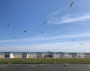 Coastal scene with beach huts and seagulls flying against a blue sky . Parking bays in foreground on a road .