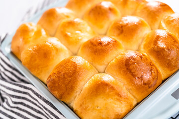 Dinner rolls