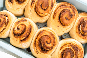 Cinnamon rolls