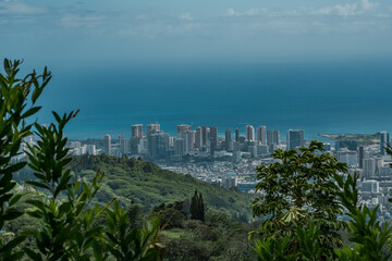Fototapeta na wymiar See the city and the sea from the forest, Tantalus, Honolulu, Oahu, Hawaii. Puu Ohia Trail