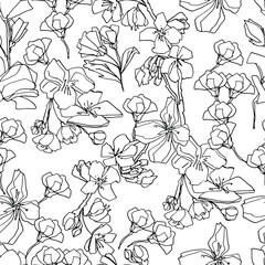 Pattern with sakura buds, apple cherry blossom. Medicinal herbs, rapeseed. Beautiful hand-drawn graphics. For textile, wallpaper, design, paper, banner. Stock graphics, isolate.  - 432492217