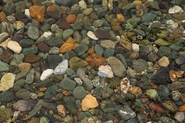 crystal clear water on Lake Teletskoye, through which you can see the stones lying on the bottom.Russia, Altai Krai