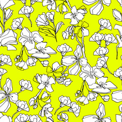 Pattern with sakura buds, apple cherry blossom. Medicinal herbs, rapeseed. Beautiful hand-drawn graphics. For textile, wallpaper, design, paper, banner. Stock graphics, isolate.  - 432492262