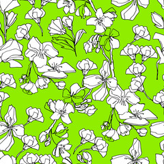 Pattern with sakura buds, apple cherry blossom. Medicinal herbs, rapeseed. Beautiful hand-drawn graphics. For textile, wallpaper, design, paper, banner. Stock graphics, isolate.  - 432492290