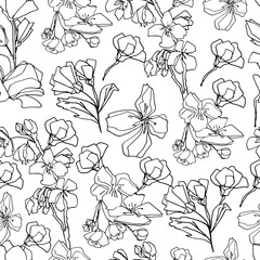 Pattern with sakura buds, apple cherry blossom. Medicinal herbs, rapeseed. Beautiful hand-drawn graphics. For textile, wallpaper, design, paper, banner. Stock graphics, isolate.  - 432492448