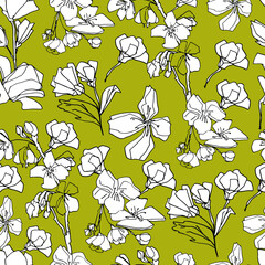 Pattern with sakura buds, apple cherry blossom. Medicinal herbs, rapeseed. Beautiful hand-drawn graphics. For textile, wallpaper, design, paper, banner. Stock graphics, isolate.  - 432492473