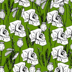 Summer pattern with wildflowers, dried flowers. Poppy, poppy box, medicinal herbs, spikelet. Beautiful hand-drawn graphics. For textile, wallpaper, design, paper, banner. Stock graphics, isolate.  - 432492616