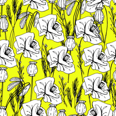 Summer pattern with wildflowers, dried flowers. Poppy, poppy box, medicinal herbs, spikelet. Beautiful hand-drawn graphics. For textile, wallpaper, design, paper, banner. Stock graphics, isolate.  - 432492636