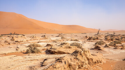 Fototapeta na wymiar Dunes and blue sky in Deadvlei, Sossusvlei. Namib-Naukluft National Park, Namibia.