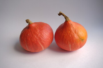 Obraz premium orange pumpkin. autumn pumpkin on white background