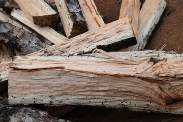 Scattered pieces of firewood after wood chopping close-up. Axe chopped firewood for household purpose