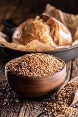 Wheat grains-the main ingredient of the bread filled in wooden bowl and wooden rustic scoop. Bakend crusty bread in the backround