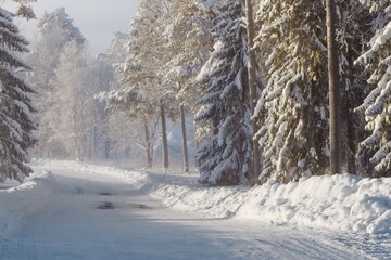 Snow-covered forest road in Östersund