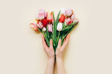 Woman hands with beautiful tulips flowers on beige background, top view