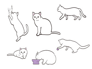 猫　色々なポーズ　セット　白猫