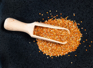 top view of scoop on siberian millet seed on black