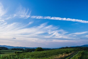 青い空の中に浮かぶ一筋の飛行機雲