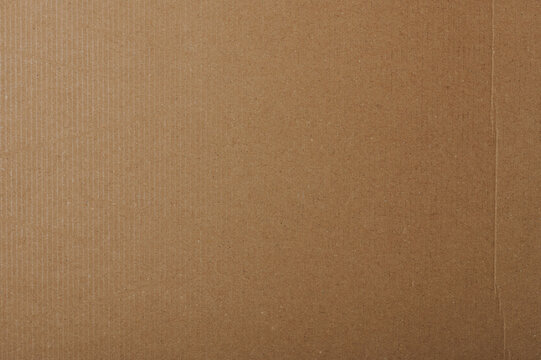 430 773 Best Beige Colour Images Stock Photos Vectors Adobe Stock