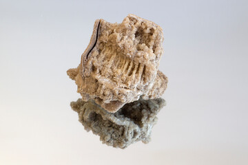 Ancient old petrified wood, excavation, minerals, on pink background Narrow focus line, shallow depth of field macro