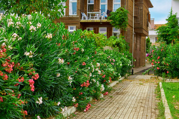 Fototapeta na wymiar An old four-storey house with a blooming green garden