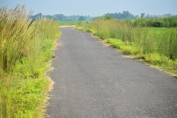 Asphalt road among the summer field under blue cloudy sky. Beautiful countryside landscape