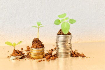 coin stack money saving concept. green leaf plant growth on rows of coin on white background. money matters tips to investment and business financial banking for Financial Wellness.