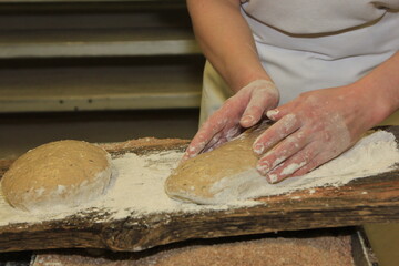 Woman's hands kneading the bread dough. Making dough by female hands on wooden table