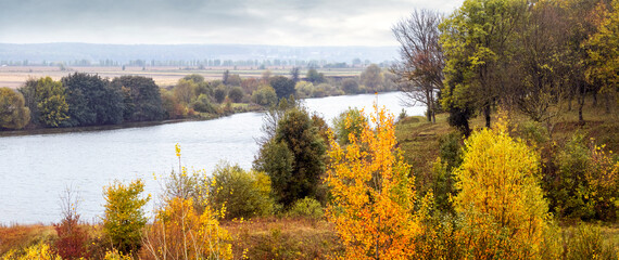 Autumn forest on the river, panorama. Colorful autumn trees by the river