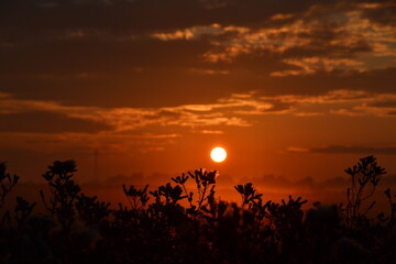 Obraz premium august