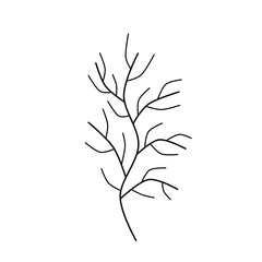 A handwritten set of simple twigs on a white background. A set of simple doodle twigs.