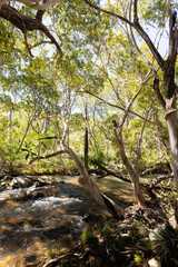 Emerald Creek Falls
