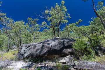Emerald Creek Falls
