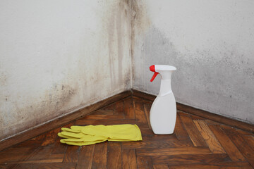 Old house wall with mold, rubber gloves and cleaning solution in a bottle