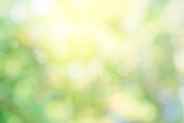 Fototapeta premium Nature bokeh blur abstract background with sunlight and green tree