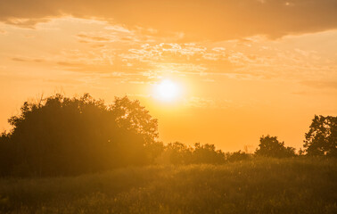 sunset sunrise in savanna field with wood