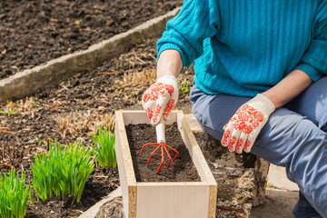 A woman loosens the soil in a box, prepares the soil for planting plants. Spring or summer garden...