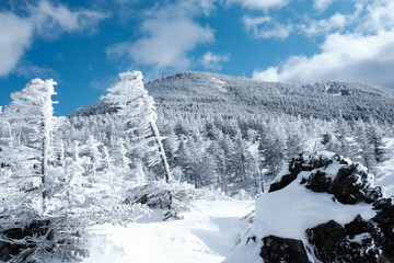 snow covered mountains