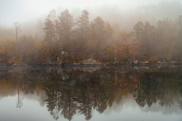 misty morning on the fjord 