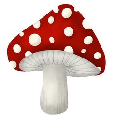 fly agaric mushroom