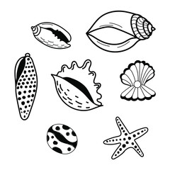 Set of exotic seashells
Marine background with sea shells
Sea and ocean life
