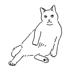 座っている猫の全身イラスト