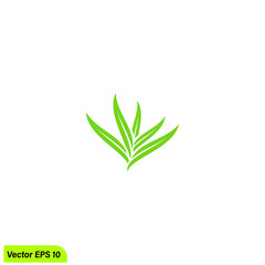 Fototapeta premium leaf icon symbol