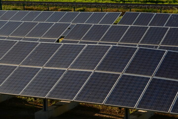 Pannelli solari di una centrale alimentata ad energia elettrica mentre producono migliaia di kwh al giorno - obrazy, fototapety, plakaty