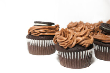 cupcakes with chocolate frosting