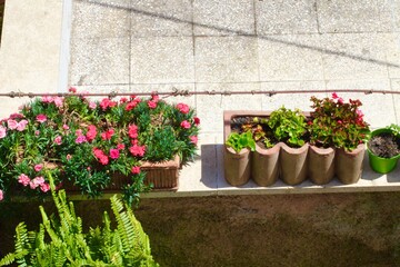 Fototapeta na wymiar pots in a garden